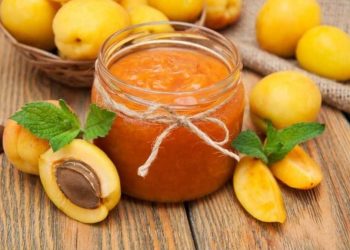 APRIKOSENMARMELADE SELBER MACHEN: EINFACHES REZEPT AUS NUR 4 ZUTATEN