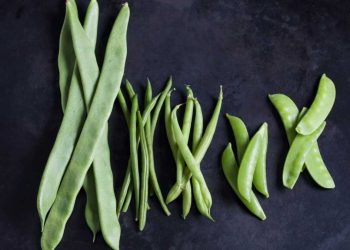 Bohnensalat und Bohnenpasta