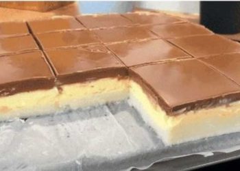Friss dich dumm kuchen vom blech