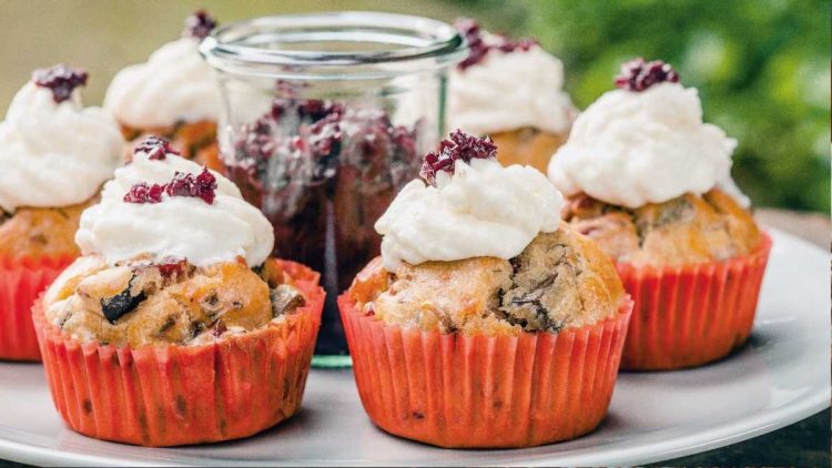 Herzhafte Cupcakes mit Pilzen und Frischkäse-Topping