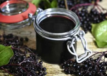 Holundergelee: Rezept für den fruchtigen Aufstrich