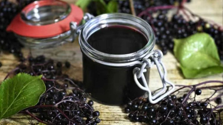 Holundergelee: Rezept für den fruchtigen Aufstrich