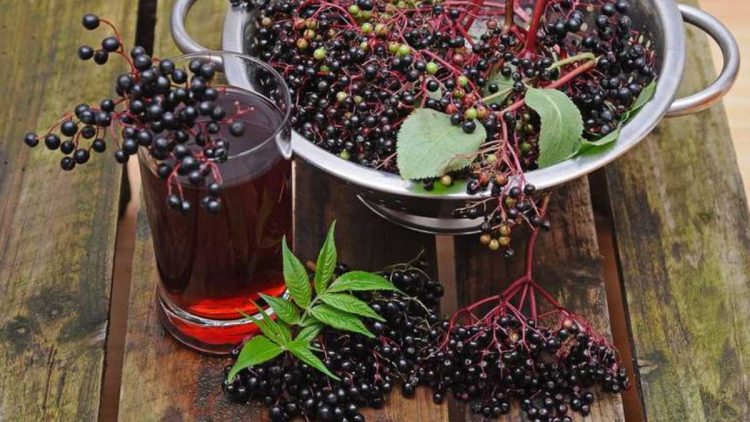 Holundersaft selber machen: Einfaches Rezept wie von Oma