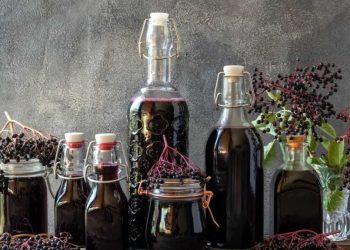 Holundersirup: Dieses einfache Rezept benötigt nur vier Zutaten
