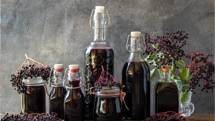 Holundersirup: Dieses einfache Rezept benötigt nur vier Zutaten