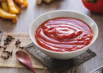 Ketchup selber machen