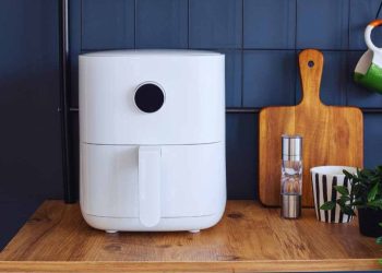 Air Fryer: Nicht nur Vorteile - Die unausgesprochenen Nachteile
