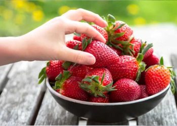 Erdbeerrosette mit Rhabarber-Schaum: Ein Rezept nach Johann Lafer | Leben