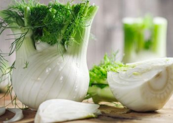 Fenchel essen: Ist es wirklich gut für unseren Körper?