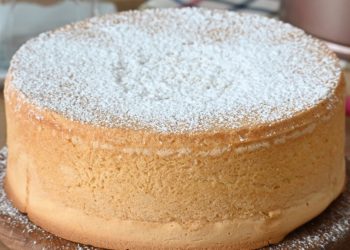 Schneller Thermomix Biskuitboden