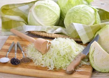 Weißkohl - Rezepte und Zubereitung des gesunden Klassikers
