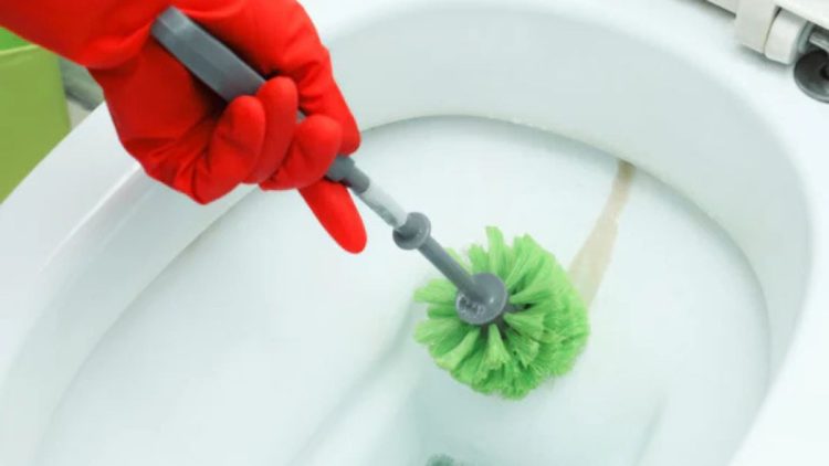 Wie man Kalkringe in der Toilette entfernt