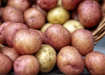 Zitronen-Kartoffeln: Einfaches Rezept für den Ofen