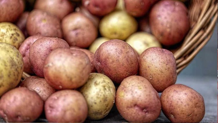 Zitronen-Kartoffeln: Einfaches Rezept für den Ofen