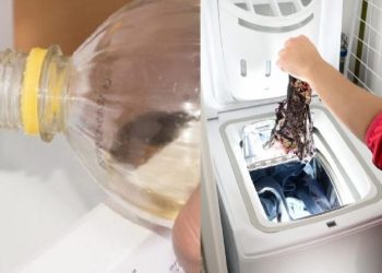 Essig in Ihrer Waschmaschine: Fügen Sie ihn für erstaunliche Ergebnisse in das richtige Fach ein!