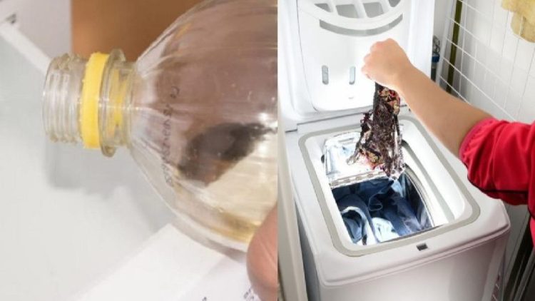 Essig in Ihrer Waschmaschine: Fügen Sie ihn für erstaunliche Ergebnisse in das richtige Fach ein!