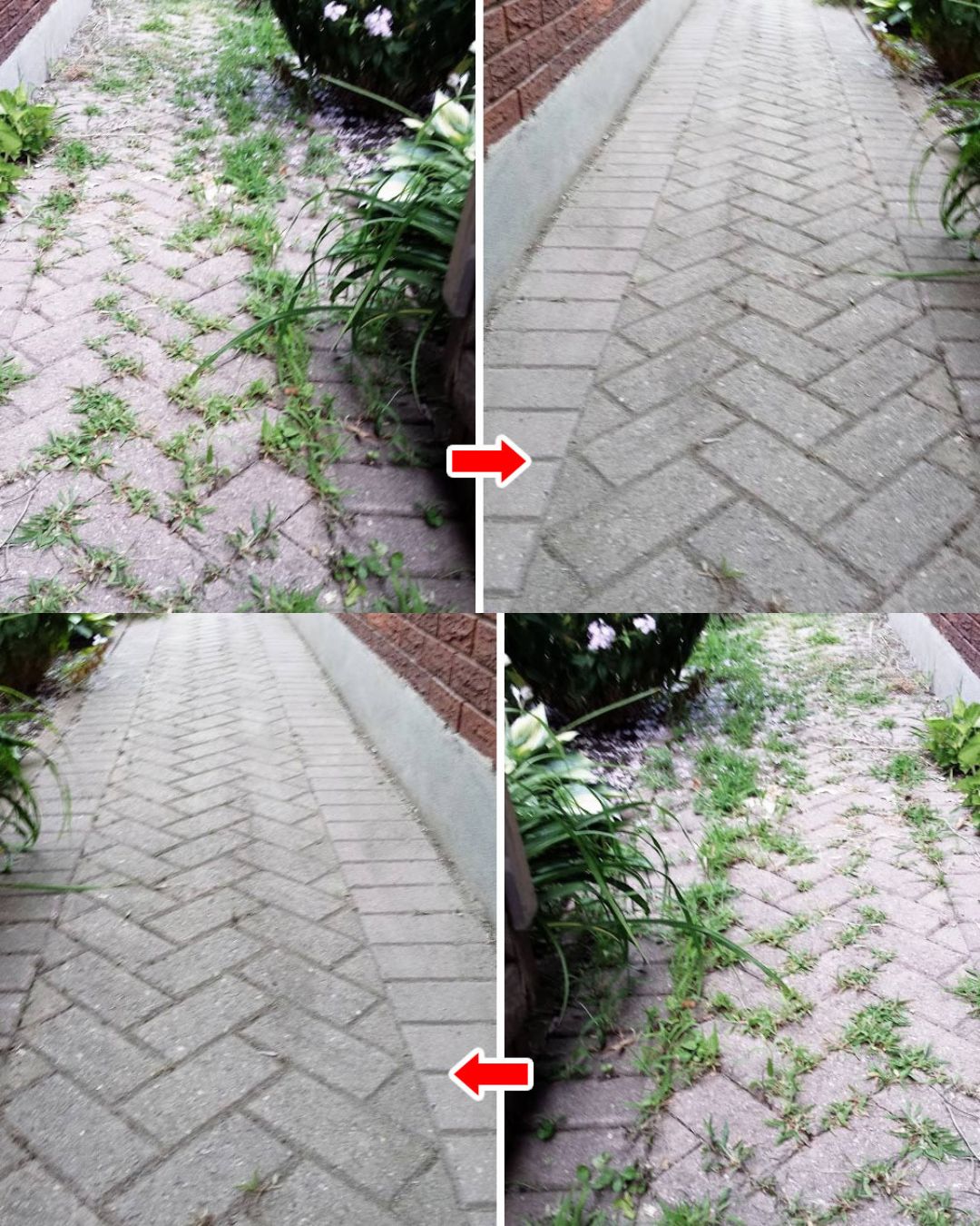 Pinterest Hidden Image