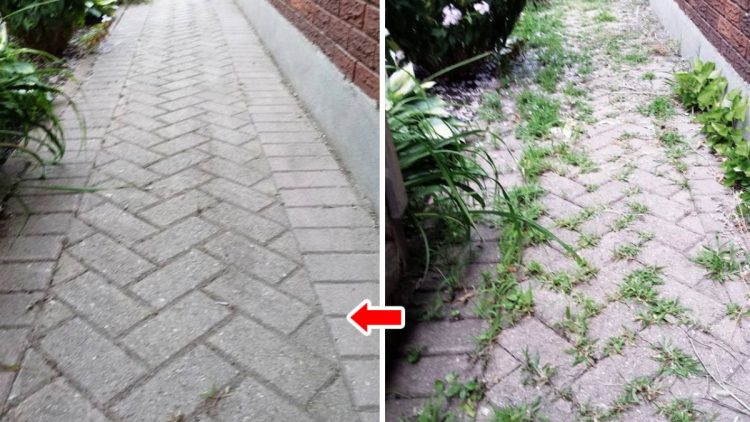Unkrautvernichter selber machen