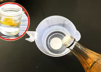 DIY Raumspray als perfektes Geschenk zum Einzug
