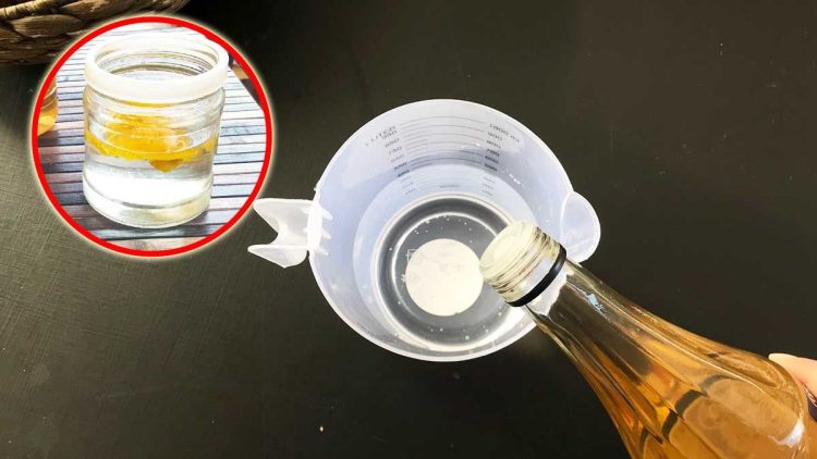 DIY Raumspray als perfektes Geschenk zum Einzug