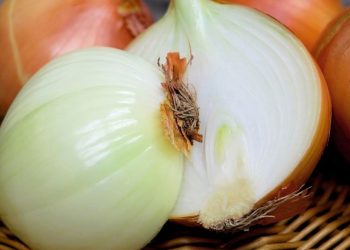 So lässt sich Zwiebelgeruch von den Händen entfernen