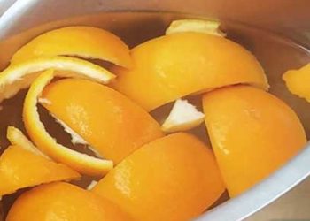 Spülmittel selbermachen aus Orangenschalen