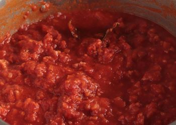 Cotechino-Ragout