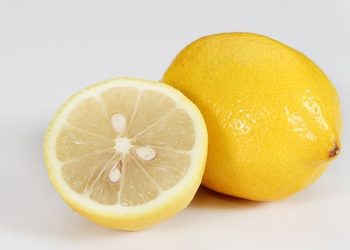 Halten Sie Ihre Zitronen mit diesem einfachen Trick das ganze Jahr über frisch!
