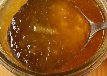 Orangen-Ingwer-Marmelade ohne Zucker