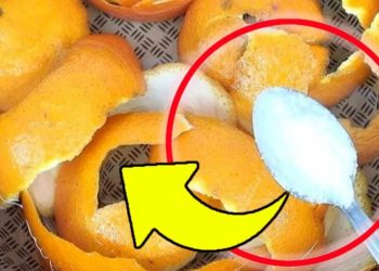 Orangenschalen mit Salz vermischen: Sie sind Gold wert, wenn man sie so verwendet