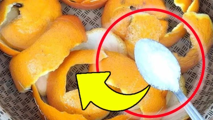 Orangenschalen mit Salz vermischen: Sie sind Gold wert, wenn man sie so verwendet