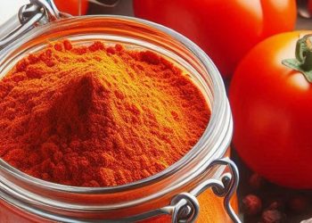 Wie man Tomatenpulver zu Hause zubereitet